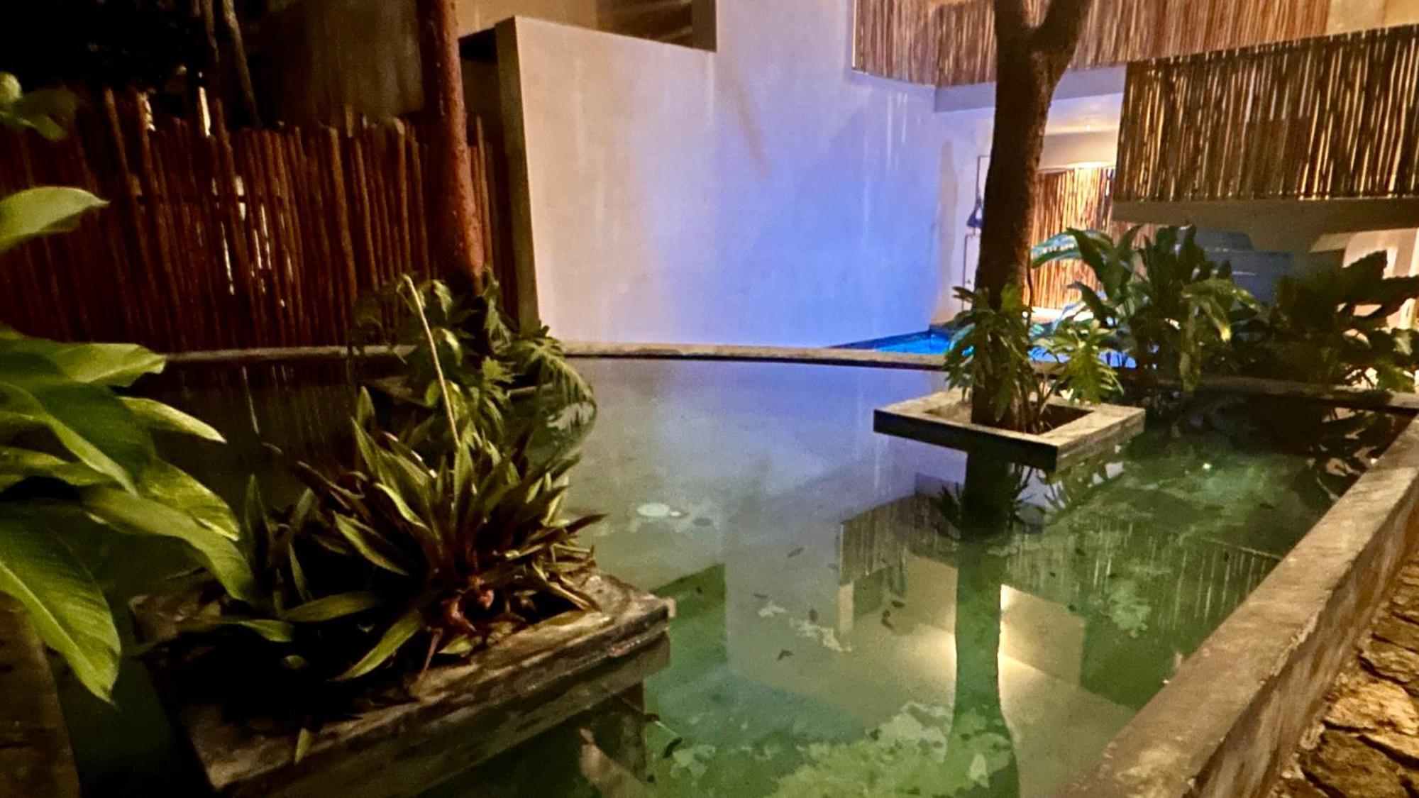 Condohotel Tsonot, En Luum Zama 图卢姆 外观 照片